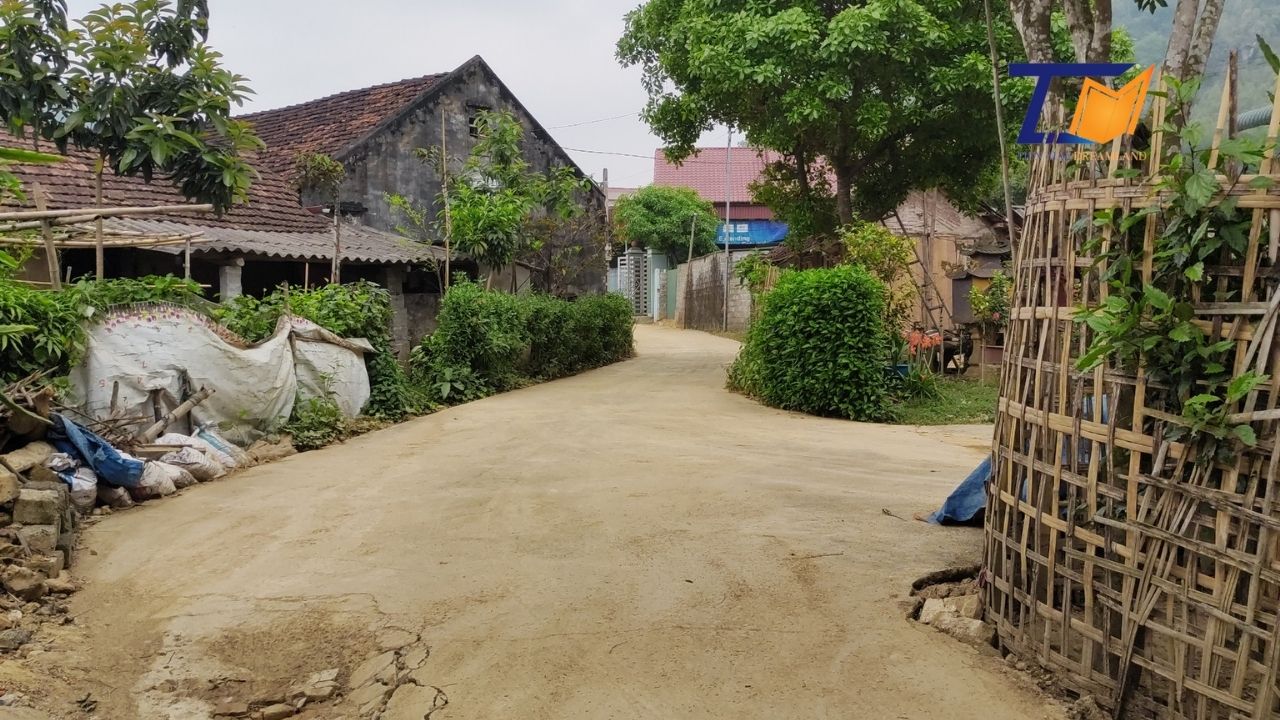 Cần bán Đất Xã Hương Cần, Thanh Sơn, Diện tích 2000m², Giá Thương lượng - LH: 0586229999 3