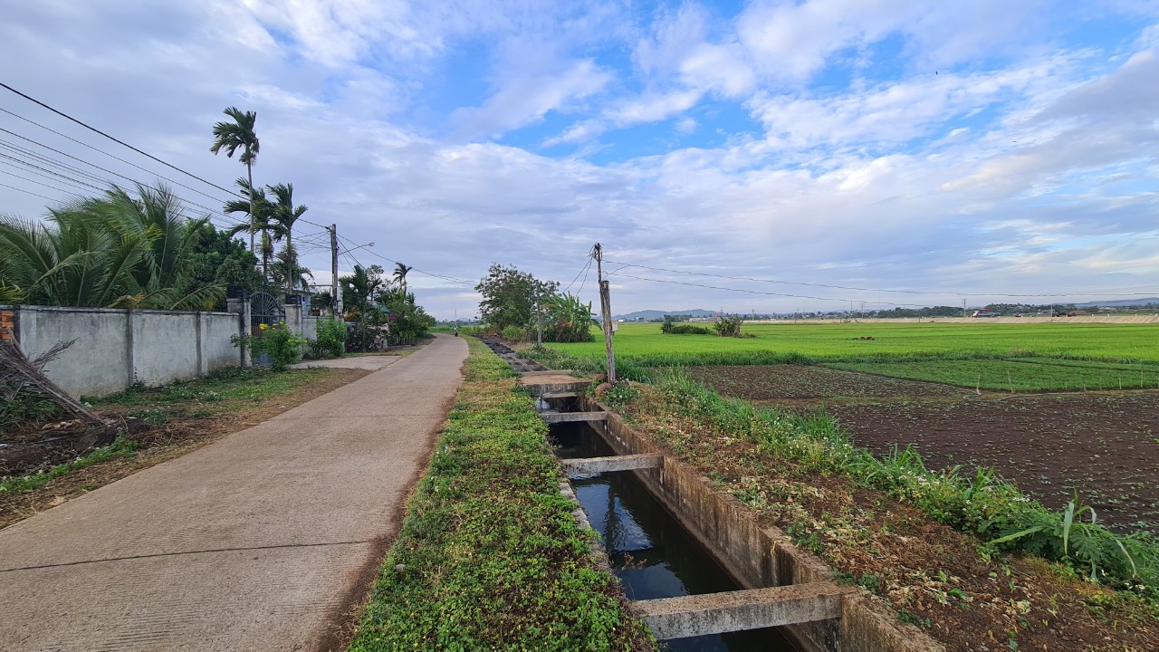 Cần bán Đất đường Tố Hữu, Xã Hòa Khánh, Diện tích 1194m², Giá 1.85 Tỷ - LH: 0967864464 1