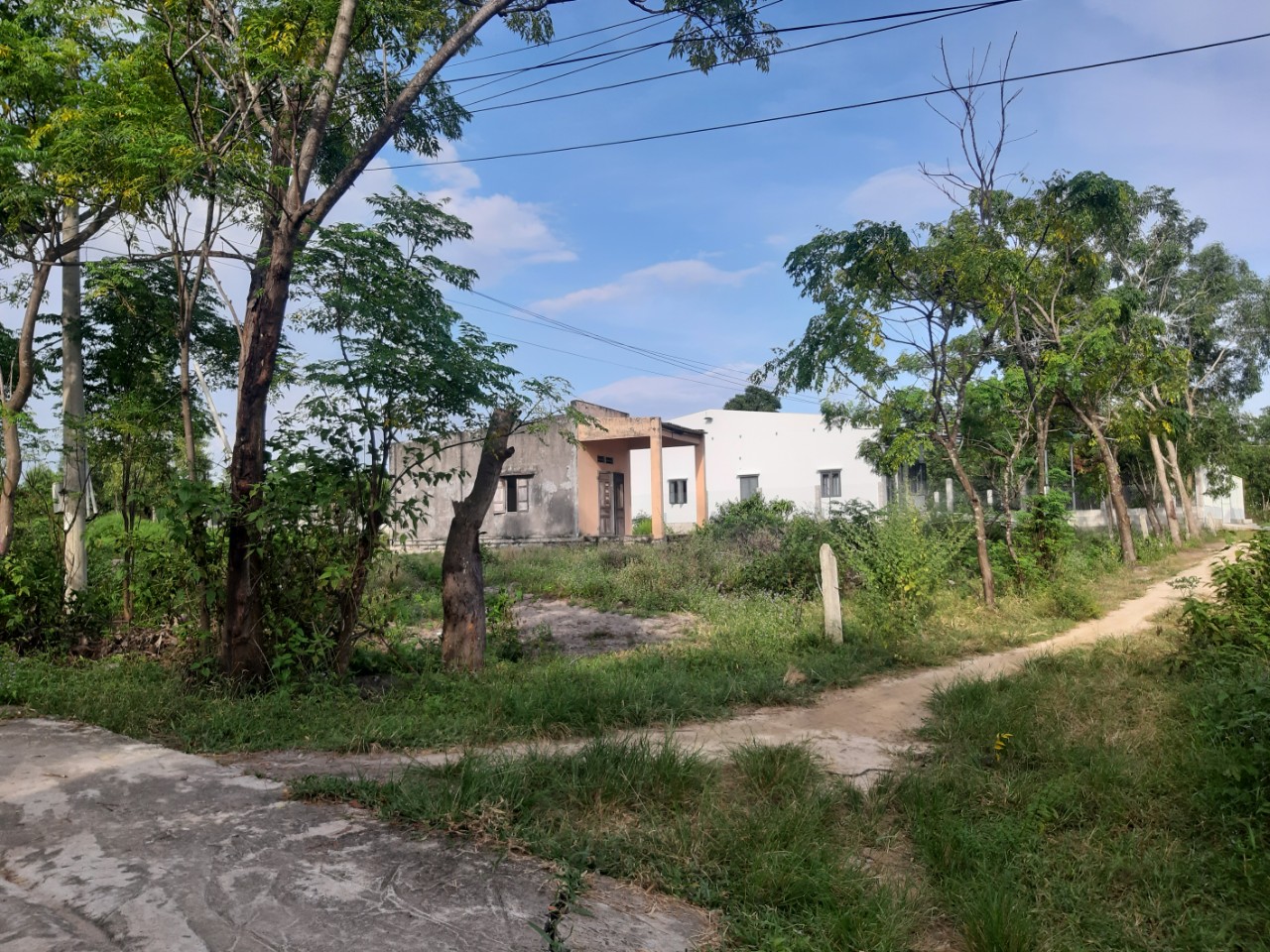 Cần bán Đất đường Lê Minh Công, Xã Tân Phước, Diện tích 1774m², Giá 10.92 Tỷ - LH: 0988609571 3