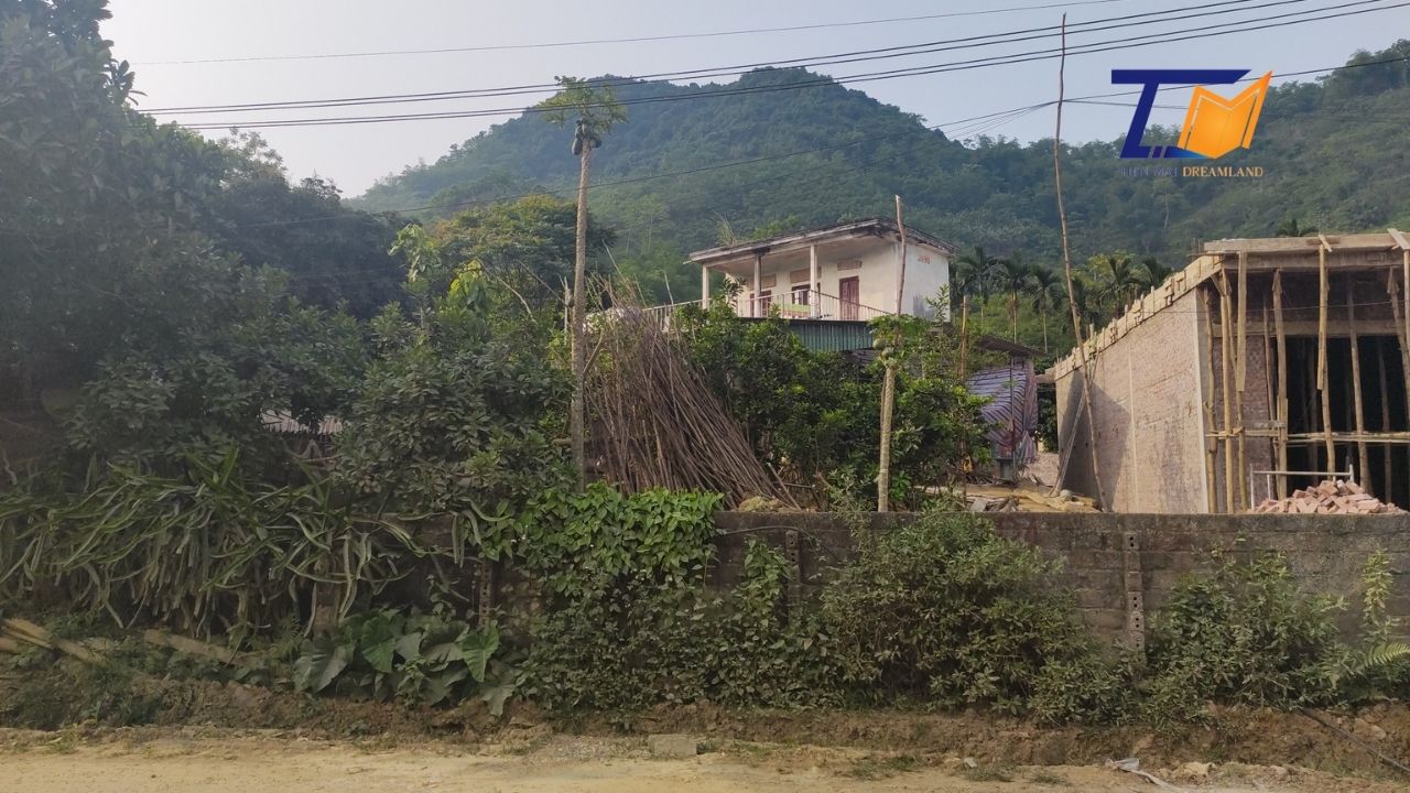 Cần bán Đất Xã Tân Lập, Thanh Sơn, Diện tích 900m², Giá Thương lượng - LH: 0586229999