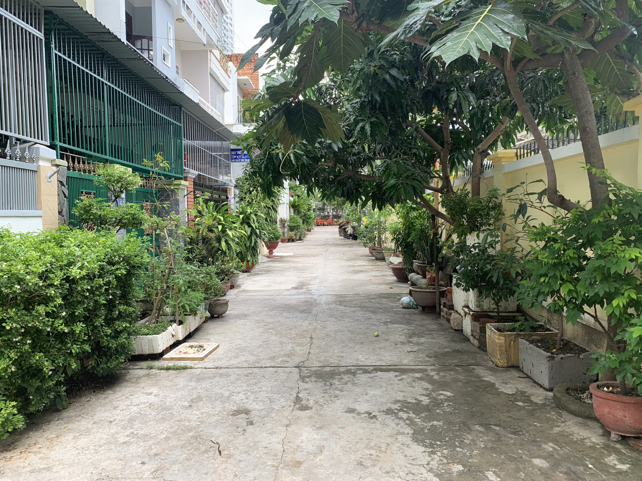 Cần bán Đất đường Nguyễn Thị Minh Khai, Phường Tân Lập, Diện tích 83m², Giá 7.470 Tỷ 5