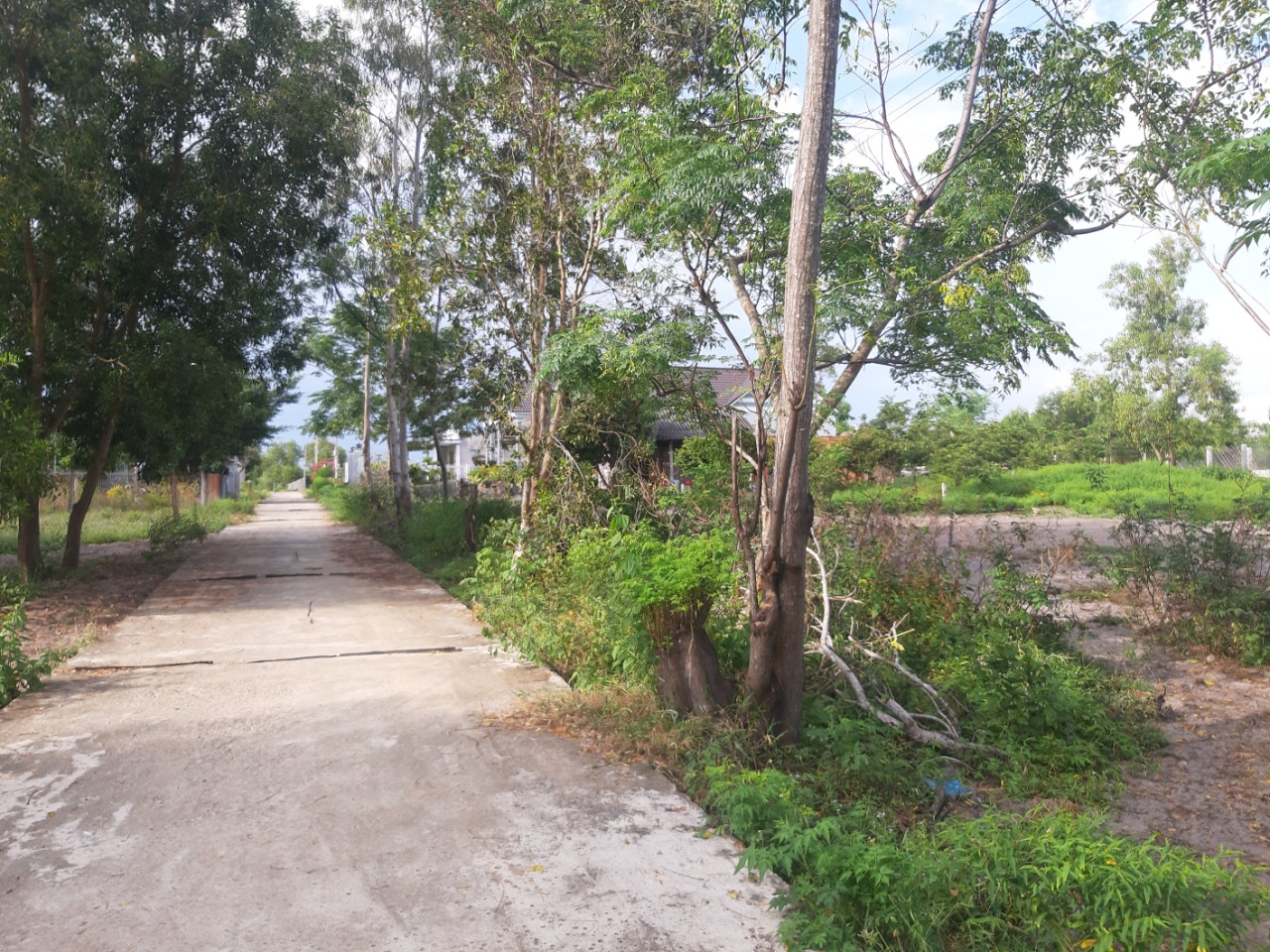 Cần bán Đất đường Lê Minh Công, Xã Tân Phước, Diện tích 1774m², Giá 10.92 Tỷ - LH: 0988609571 5
