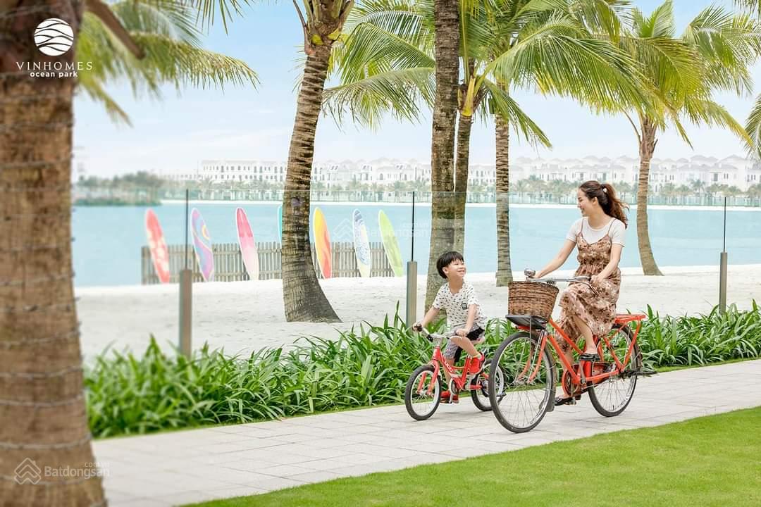 Cần bán Biệt thự dự án Vinhomes Ocean Park Gia Lâm, Diện tích 153m², Giá Thương lượng 2