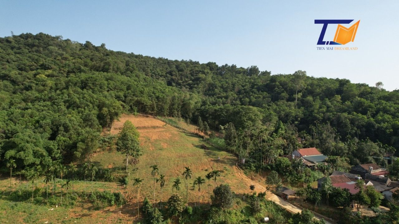 Cần bán Đất Xã Minh Quang, Ba Vì, Diện tích 1530m², Giá Thương lượng - LH: 0586229999 1