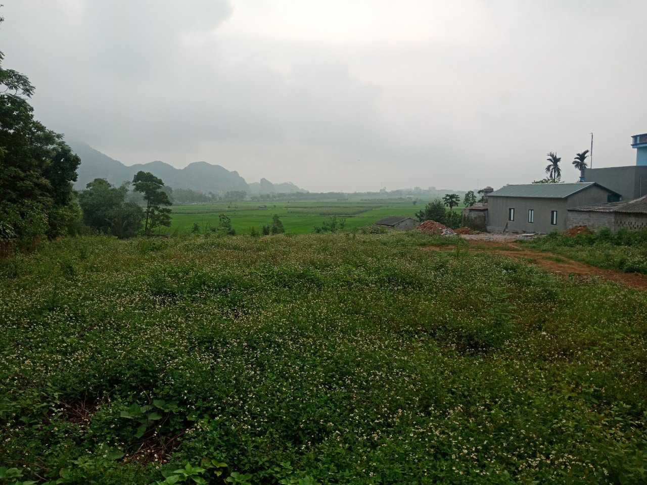 Cần bán đất  Xã Nhuận Trạch, Lương Sơn, Diện tích 4100m², Giá Thương lượng - LH: 0969622791 3