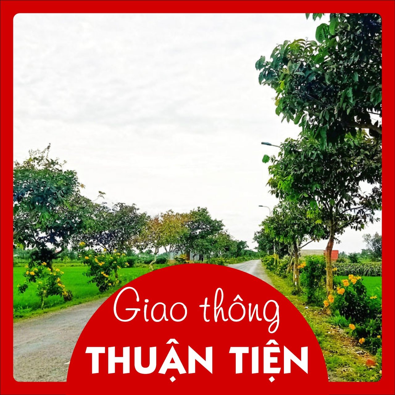 Cần bán Đất đường 605, Xã Hòa Tiến, Diện tích 115m², Giá 911.000.000 Triệu - LH: 0356685075 3