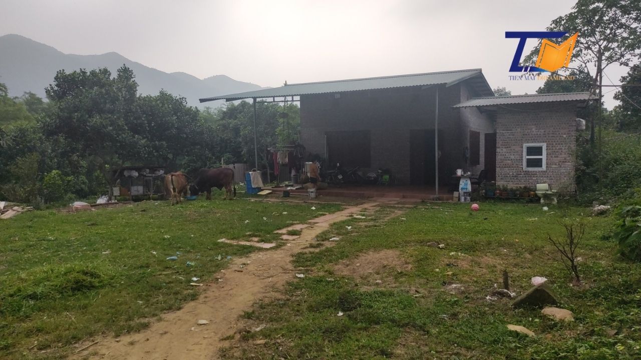 Cần bán Đất Xã Cự Thắng, Thanh Sơn, Diện tích 5700m², Giá Thương lượng - LH: 0586229999
