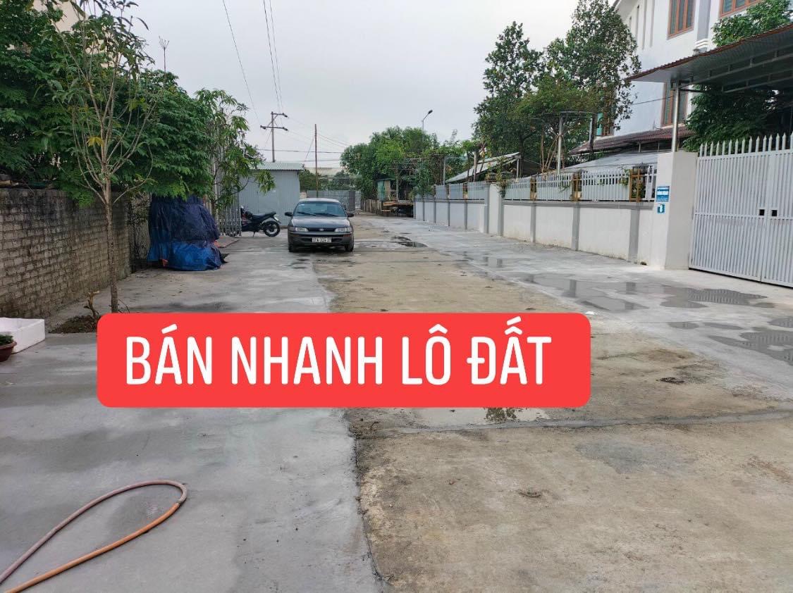 Cần bán Đất đường Nguyễn Trãi, Phường Quán Bàu, Diện tích 81m², Giá 2,25 Tỷ 4