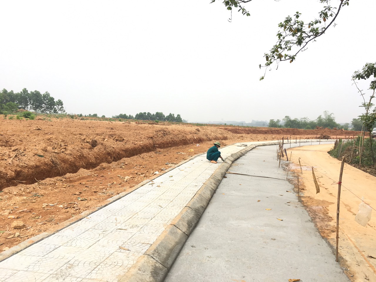 Cần bán Đất nền dự án đường Tỉnh lộ 514, Xã Thọ Sơn, Diện tích 150m², Giá 530 Triệu 5