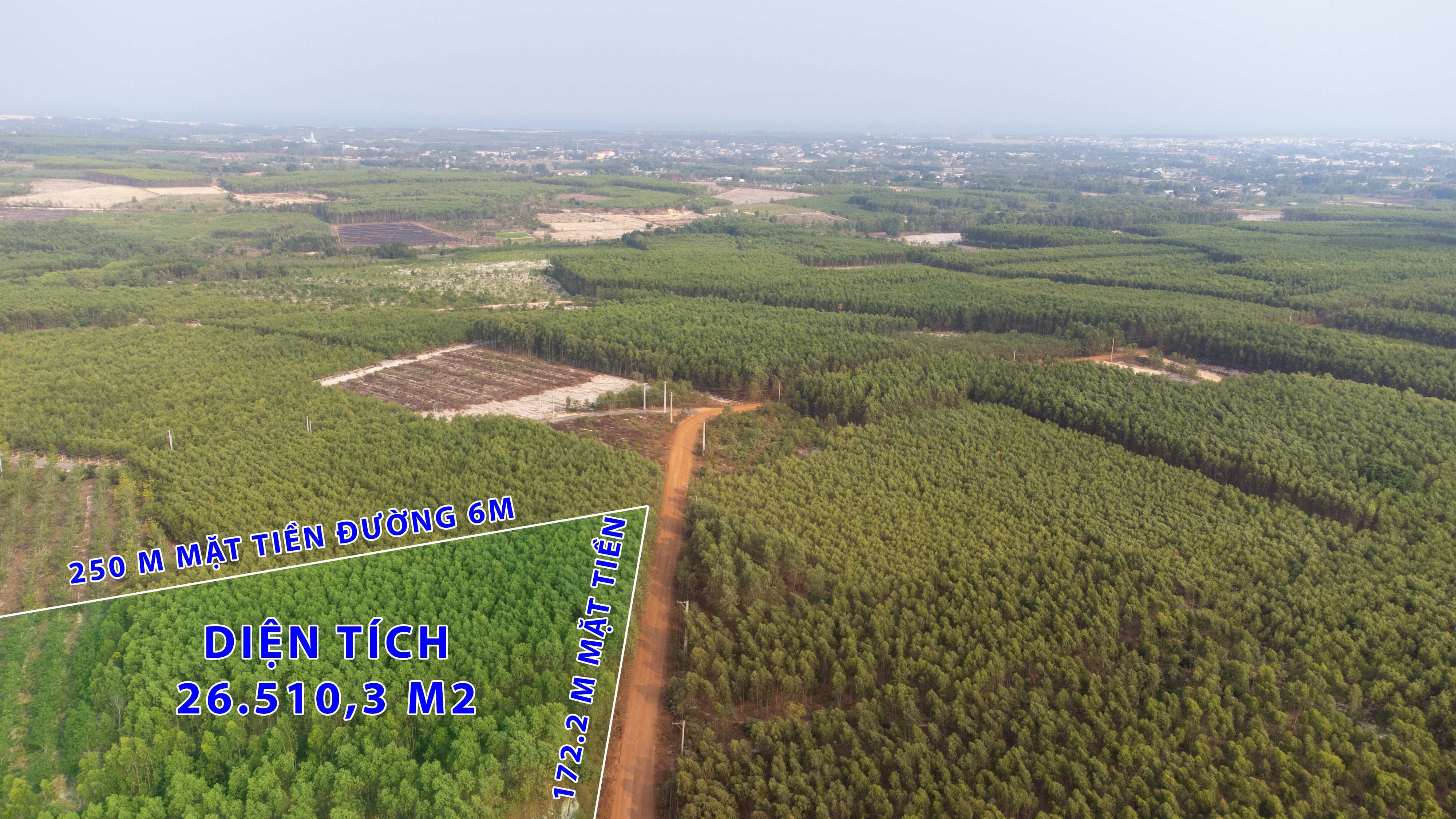 Cần bán Đất đường Nguyễn Trãi, Xã Tân Bình, Diện tích 26510m², Giá 29.5 Tỷ - LH: 0988609571 3