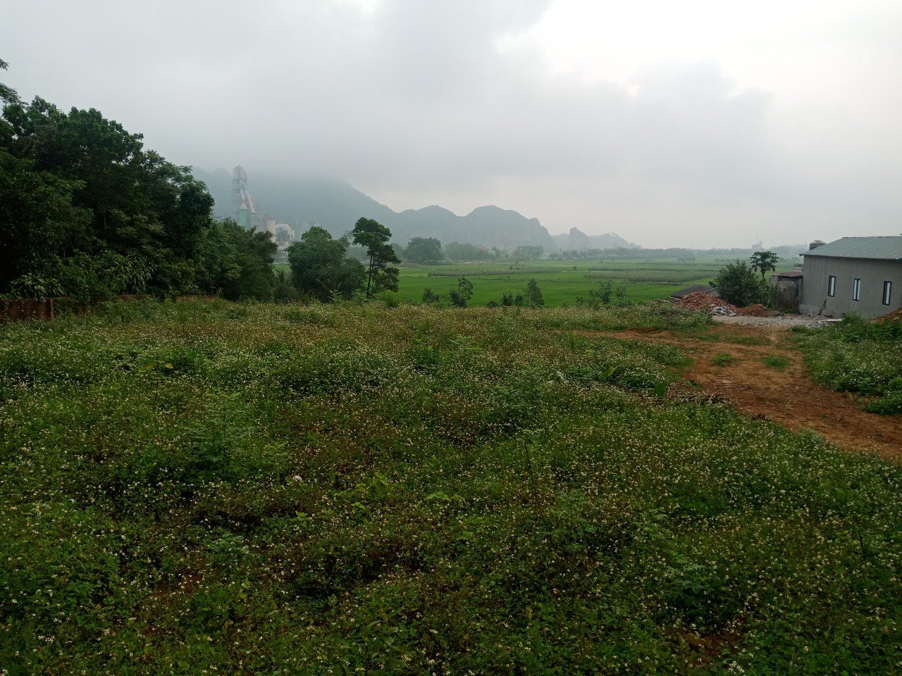 Cần bán đất  Xã Nhuận Trạch, Lương Sơn, Diện tích 4100m², Giá Thương lượng - LH: 0969622791 2