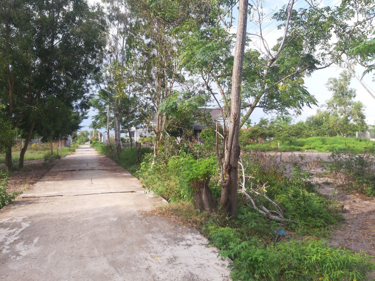 Cần bán Đất đường Lê Minh Công, Xã Tân Phước, Diện tích 1774m², Giá 10.92 Tỷ - LH: 0988609571 6