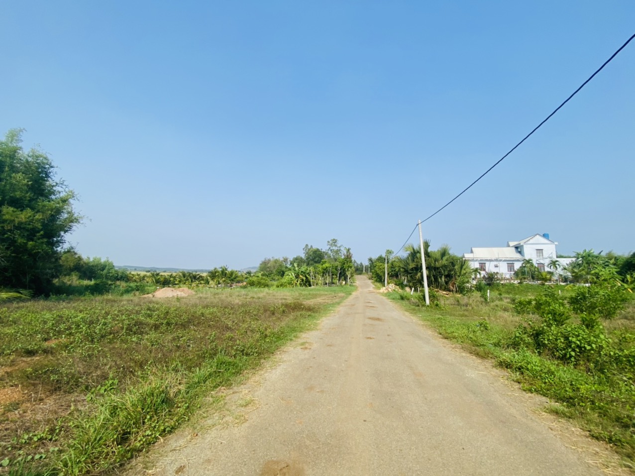 Cần bán Căn hộ chung cư Xã Láng Dài, Đất Đỏ, Diện tích 833m², Giá 2.4 Tỷ - LH: 0985454239 3