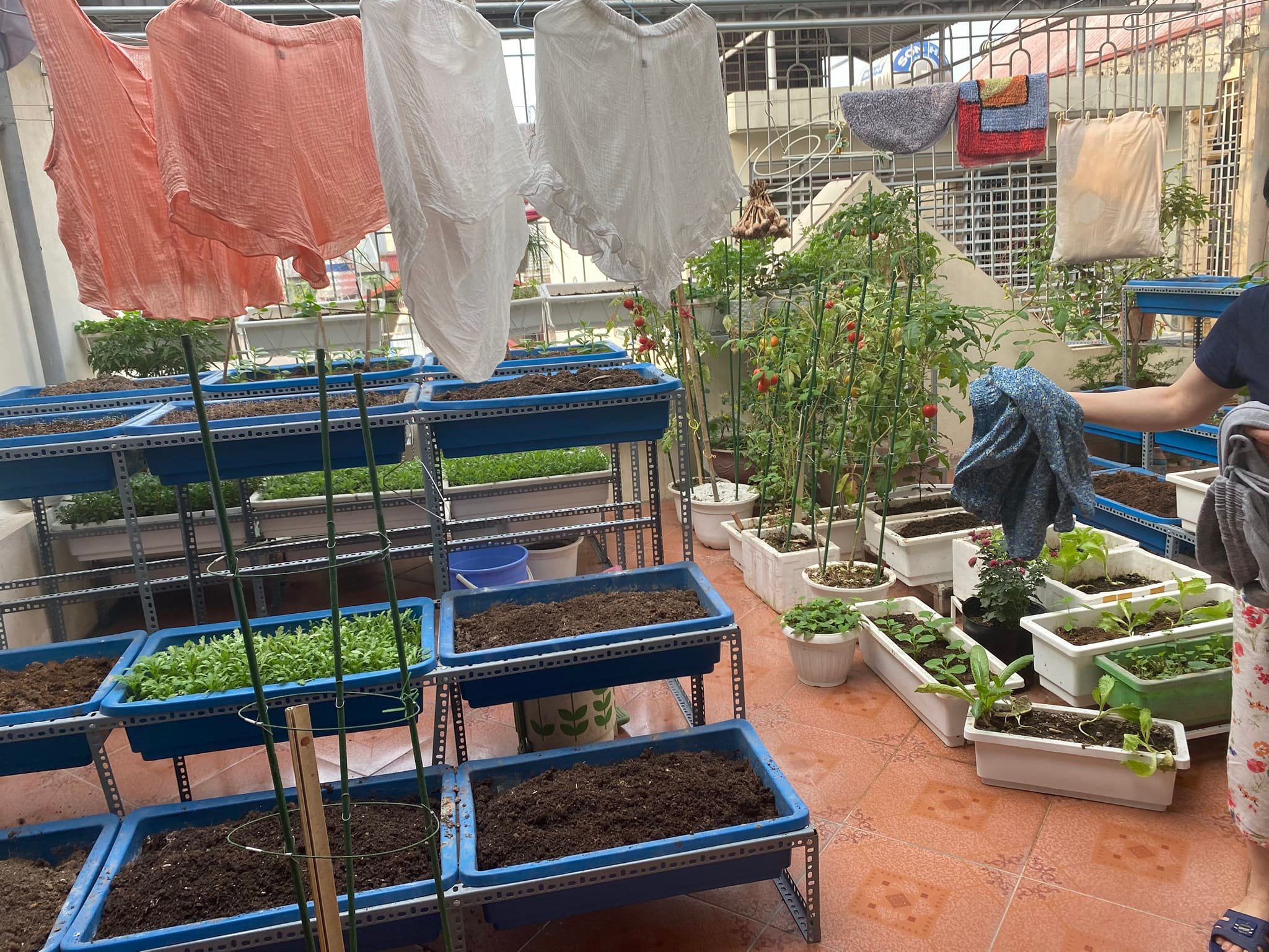 Phân Lô Trần Quốc Hoàn Ô tô tránh đỗ 5 Tầng Mặt tiền 5.5M 50M2 11.8 Tỷ 5