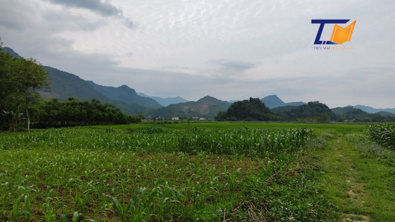 Cần bán Đất Xã Yên Lãng, Thanh Sơn, Diện tích 400m², Giá Thương lượng - LH: 0586229999 1