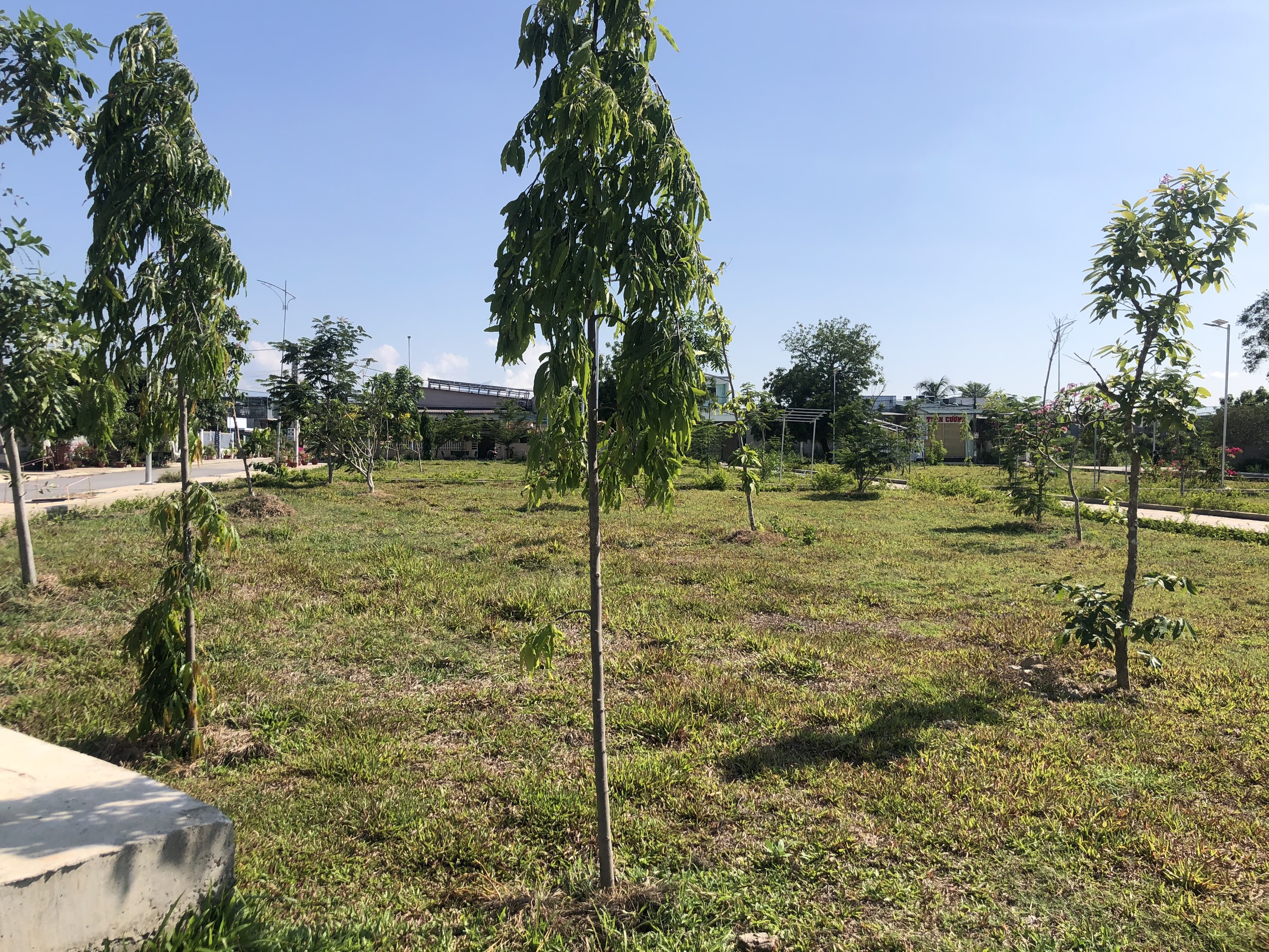 Đất nền đô thị xanh gần Sân bay Thành sơn Ninh Thuận 5