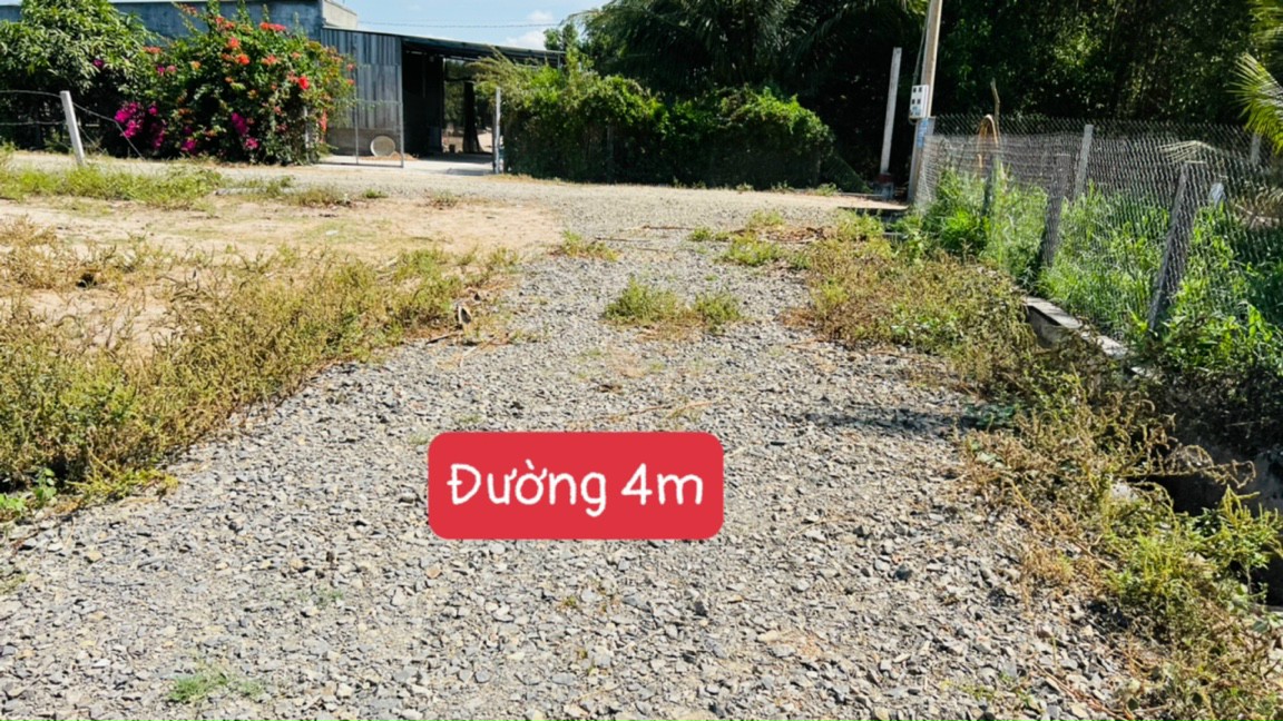 Cần bán Đất đường 55, Xã Láng Dài, Diện tích 154m², Giá 1 Tỷ 4
