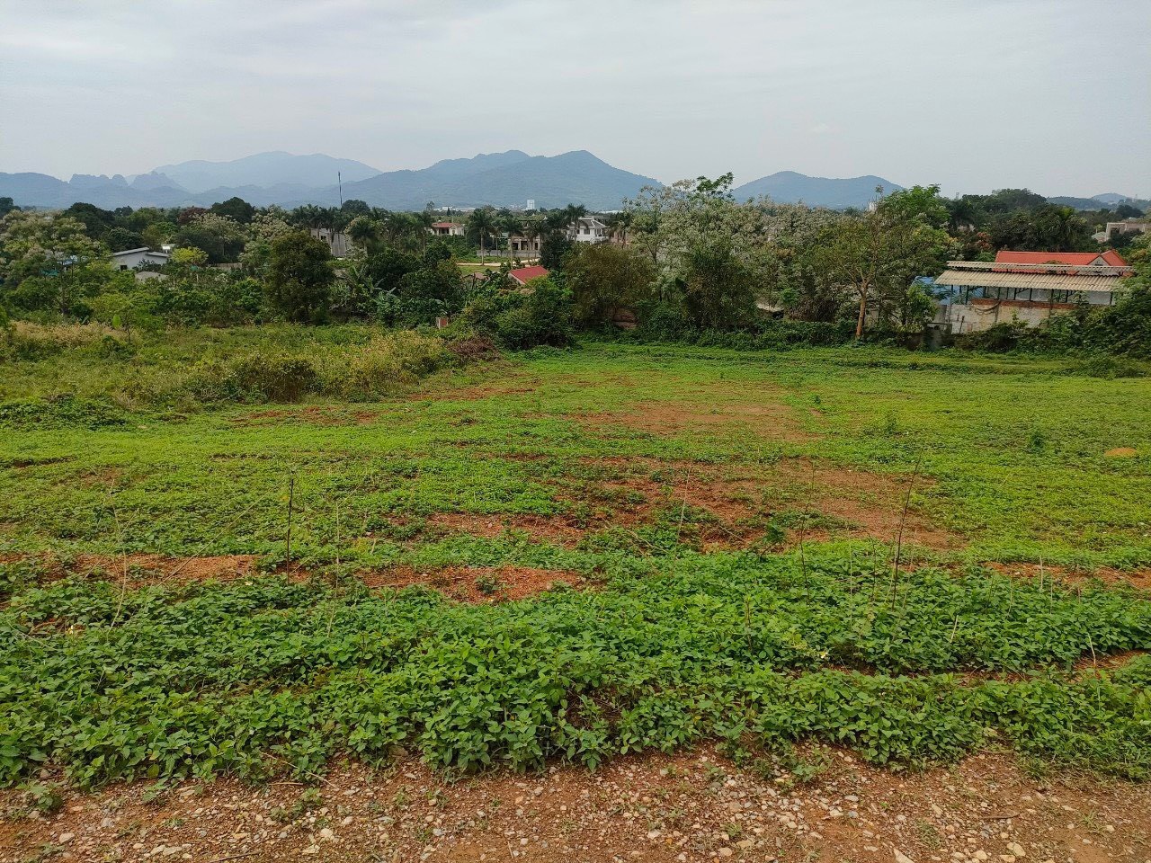 Cần bán Đất Xã Nhuận Trạch, Lương Sơn, Diện tích 1800m², Giá Thương lượng - LH: 0969622791 2