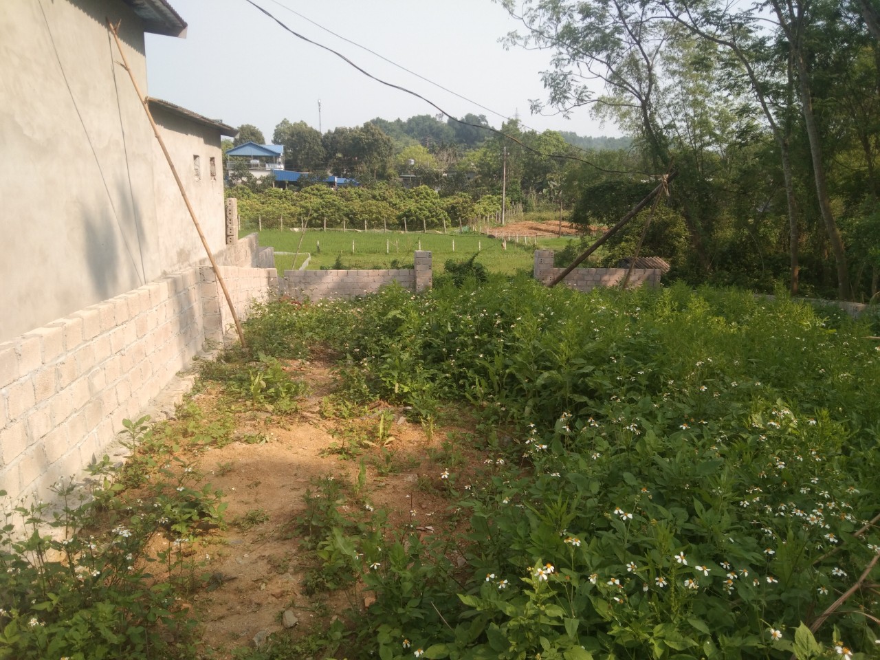 Cần bán 820m2 có 364m thổ cư view cánh đồng, đất nở hậu cách đường QL 200m tại Thanh Cao Lương Sơn