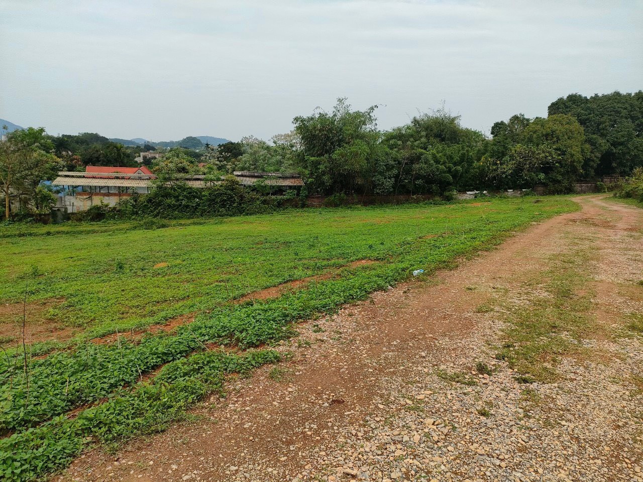 Cần bán Đất Xã Nhuận Trạch, Lương Sơn, Diện tích 1800m², Giá Thương lượng - LH: 0969622791 3