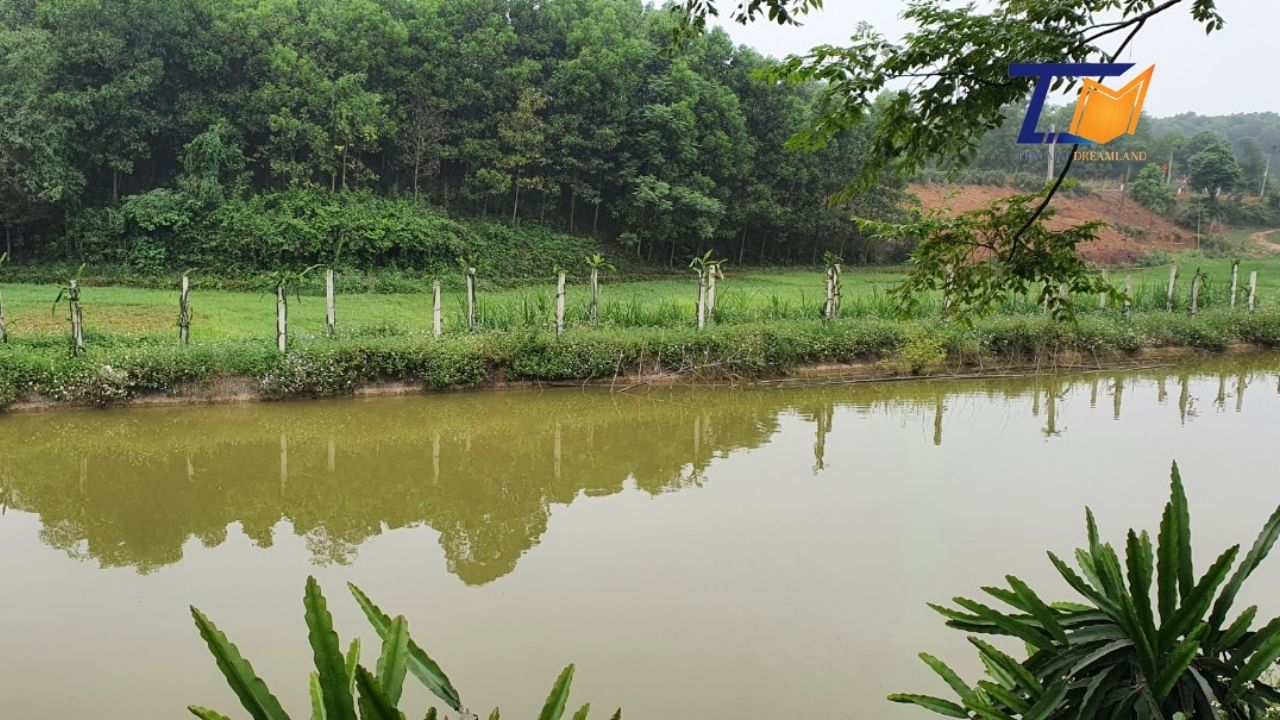 Cần bán Đất Xã Thắng Sơn, Thanh Sơn, Diện tích 7000m², Giá Thương lượng - LH: 0586229999 1
