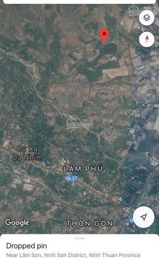 Đất rẫy diện tích lớn đường QL27 có 637 cây Gỗ Sưa - Lâm Sơn, Ninh Sơn, Ninh Thuận