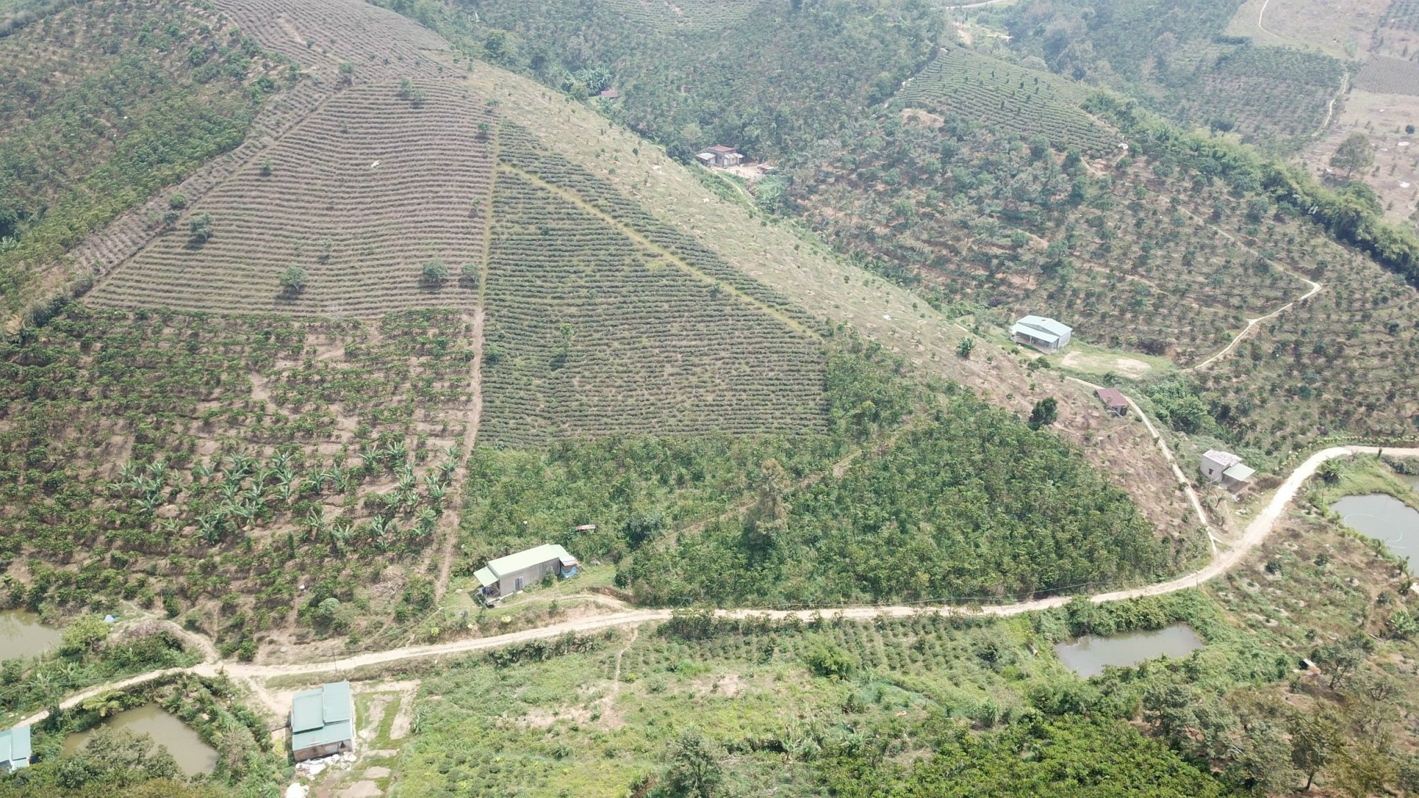 Đất Lộc Thành-Bảo Lâm dt: 9 sào 160m mt giá 27 tỷ sổ riêng 6