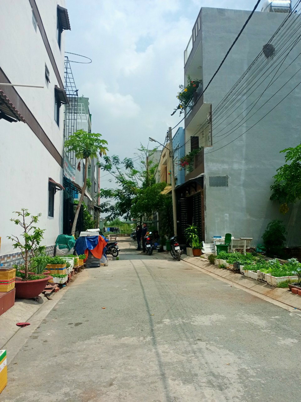 Bán Đất Tại Đường Số 8 – Phường Tăng Nhơn Phú B – Quận 9 – TP Hồ Chí Minh 1