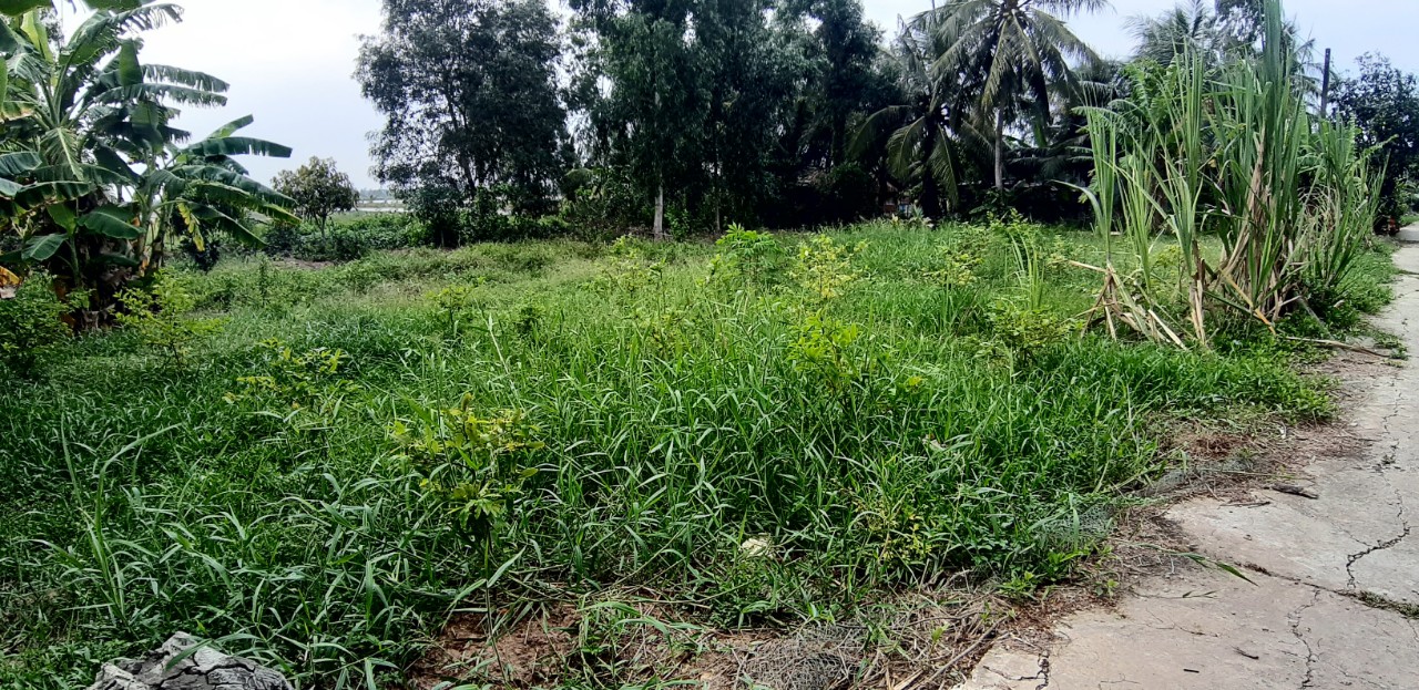 Cần bán gấp lô đất tại thị xã Bình Long, Bình Phước giá chỉ  450tr, 550tr
