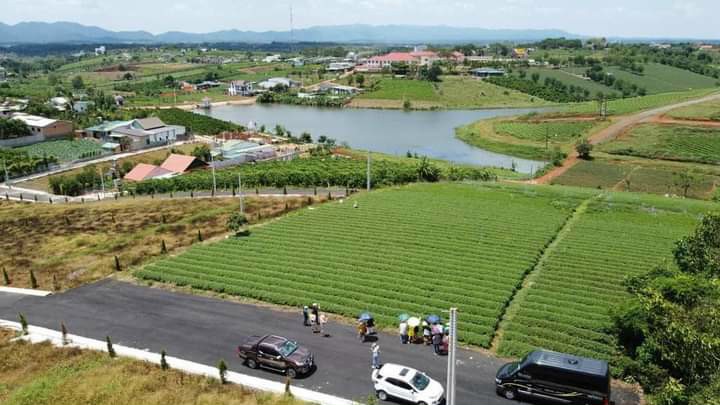 Bán đất view hồ snh thái, đồi chè TP Bảo Lộc