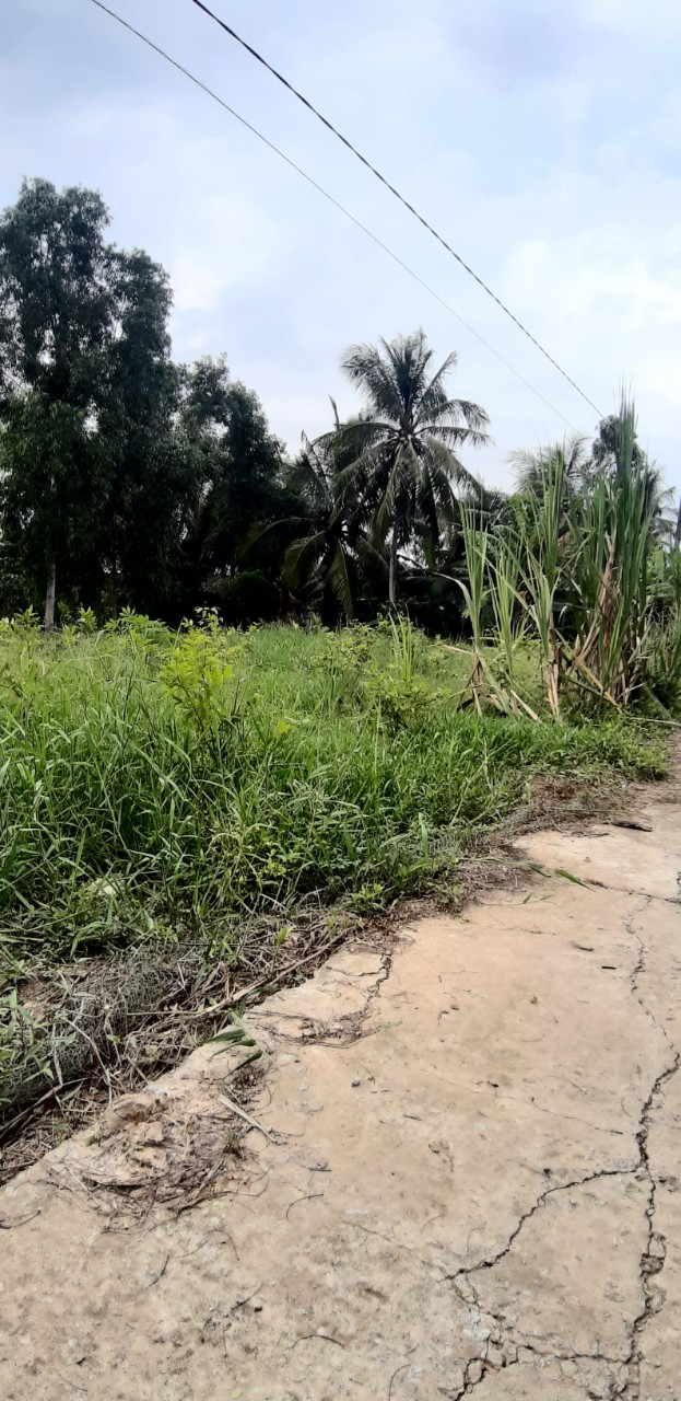 Cần bán gấp lô đất tại thị xã Bình Long, Bình Phước giá chỉ  450tr, 550tr 3