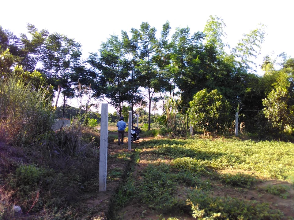 Bán Đất trồng cây gần sông 3000m2 Ninh Sơn, huyện nhơn sơn, view sông, đường oto ! 4