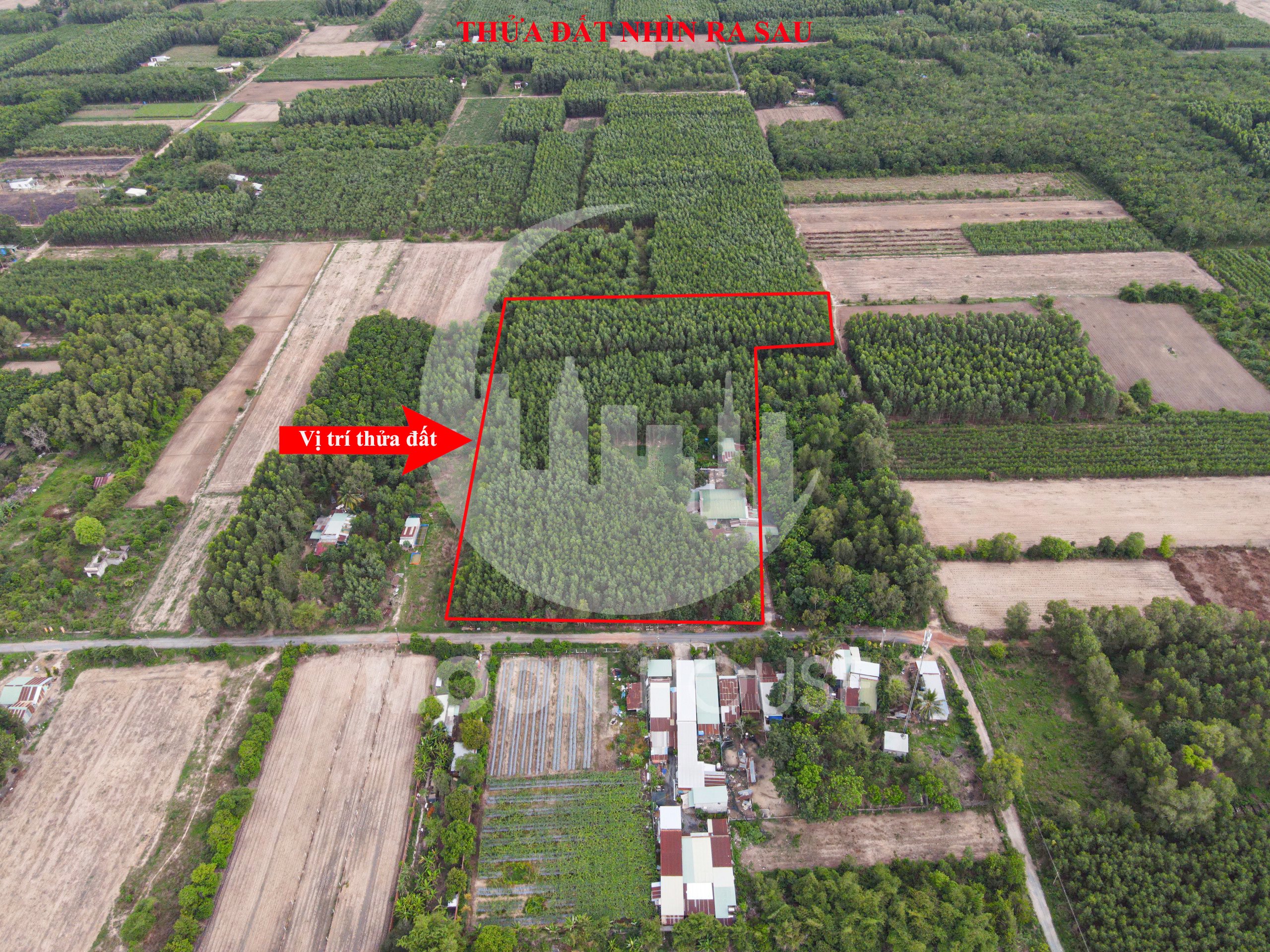 Chủ gửi bán lô đất tổng diện tích 20484m2 tại xã Phú Thạnh 6