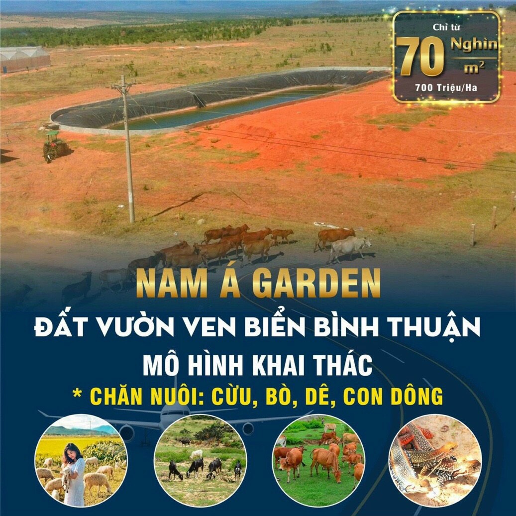 Đất nền BÌNH THUẬN giá chỉ từ,đ/m2⁉⁉ 5