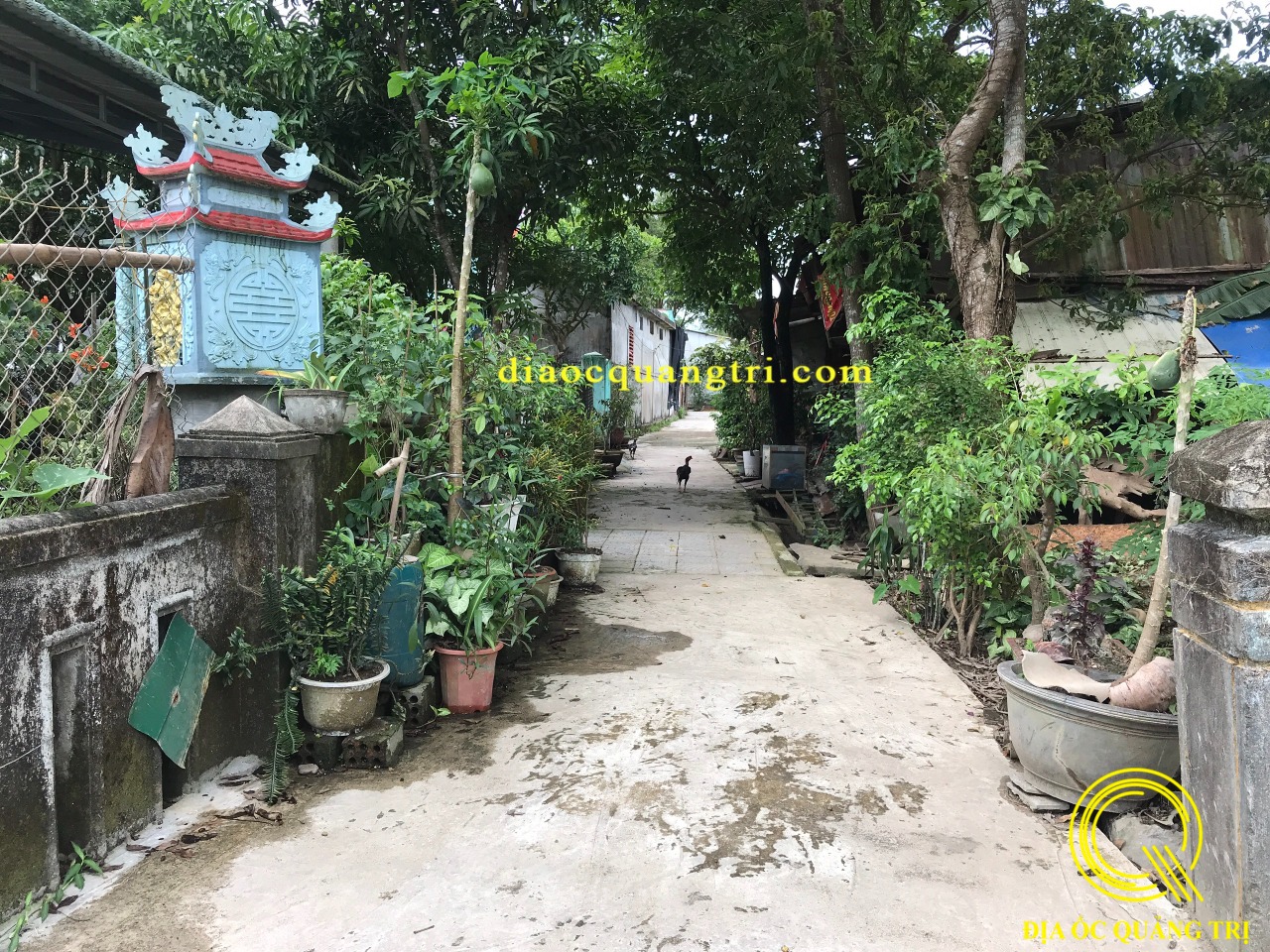 Cần bán Đất Phường 1, Quảng Trị, Diện tích 151m², Giá Thương lượng - LH: 0328772473 3