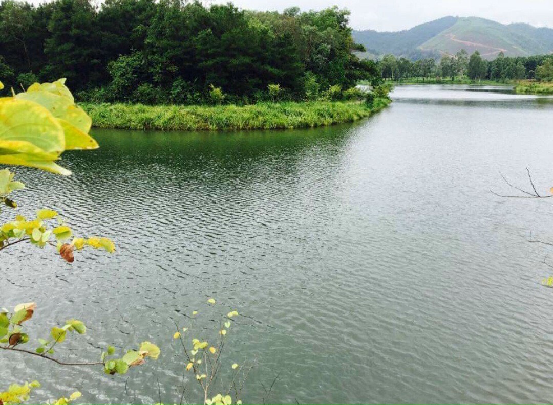 Bán 1160m đất nghỉ dưỡng View hồ  Thung Lũng Thanh Xuân, Ngọc Thanh, Phúc Yên Lh 0855823833 4