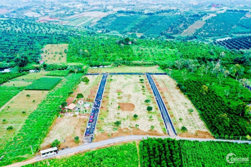 Cần bán Đất Phường B'Lao, Bảo Lộc, Diện tích 195m², Giá 900 Triệu - LH: 0932042603 3