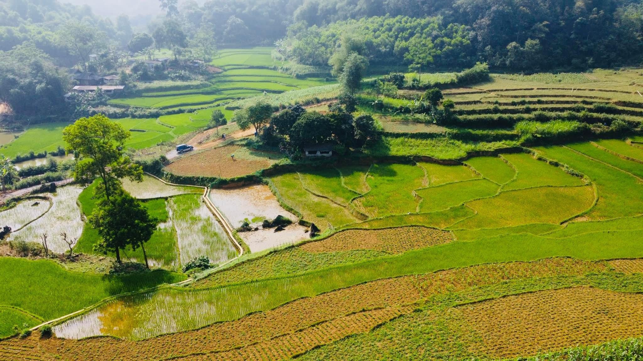 Cần bán 1500m 150m thổ cư bám đường nhựa view cánh đồng tuyệt đẹp tại Tân Lạc 6