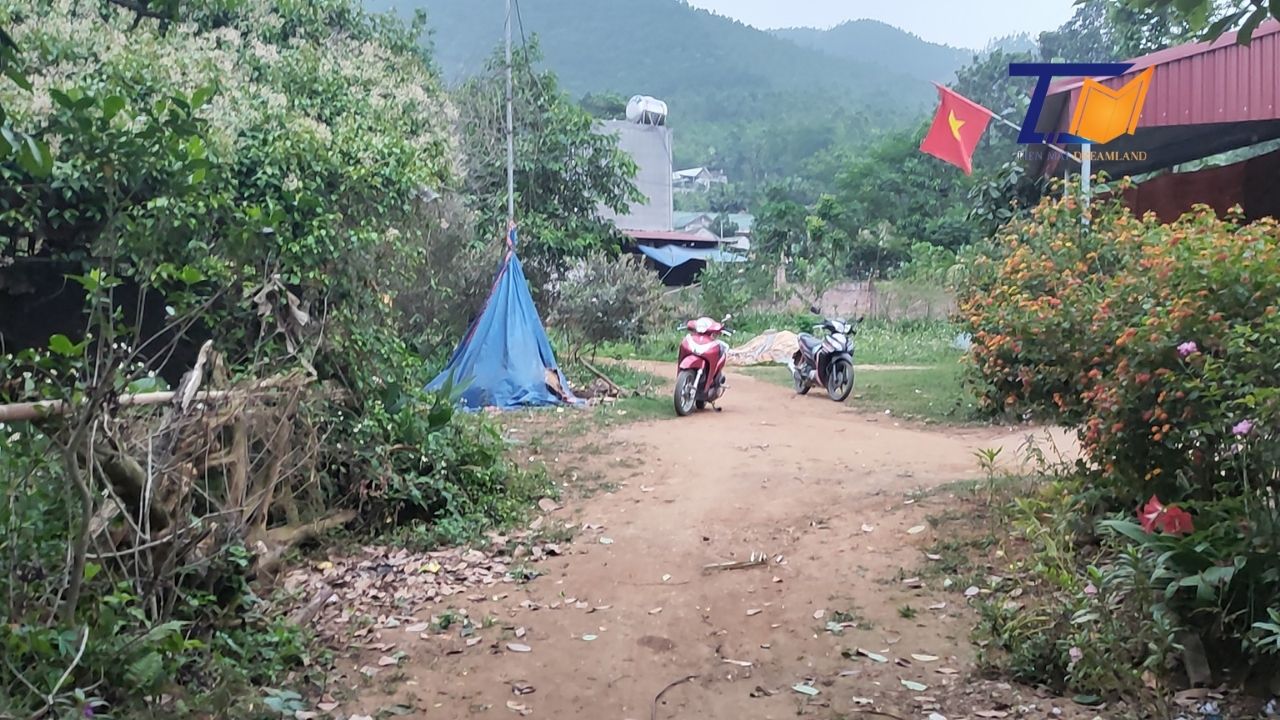 Giảm Giá sập sàn lô đất 2000m2 Thanh Sơn Phú Thọ 2000m2 Cần bán gấp 3