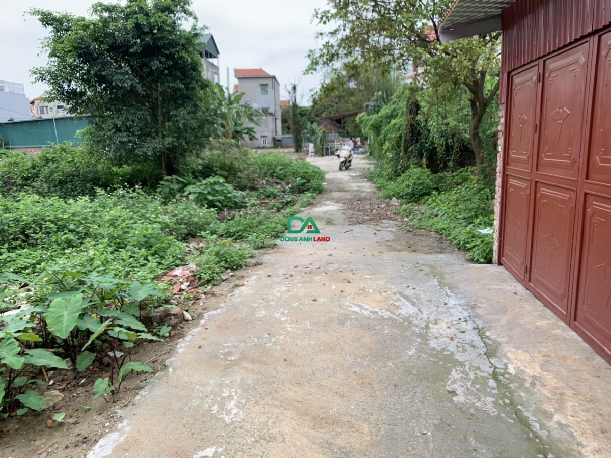 Cần bán Đất đường Vân Trì, Xã Vân Nội, Diện tích 70m² 3