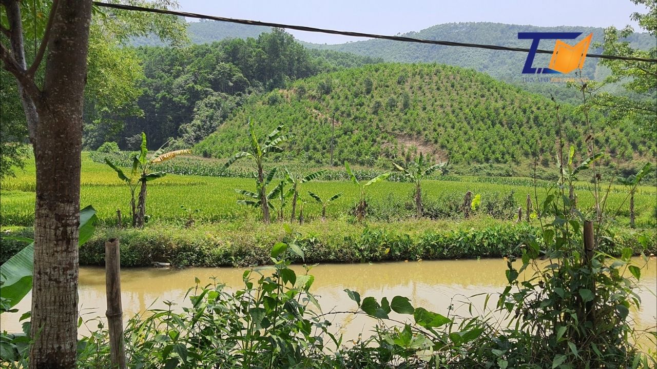 Cần bán lô đất 1ha  Yên Sơn Thanh Sơn Phú Thọ có 400m2 Thổ cư Giá siêu rẻ