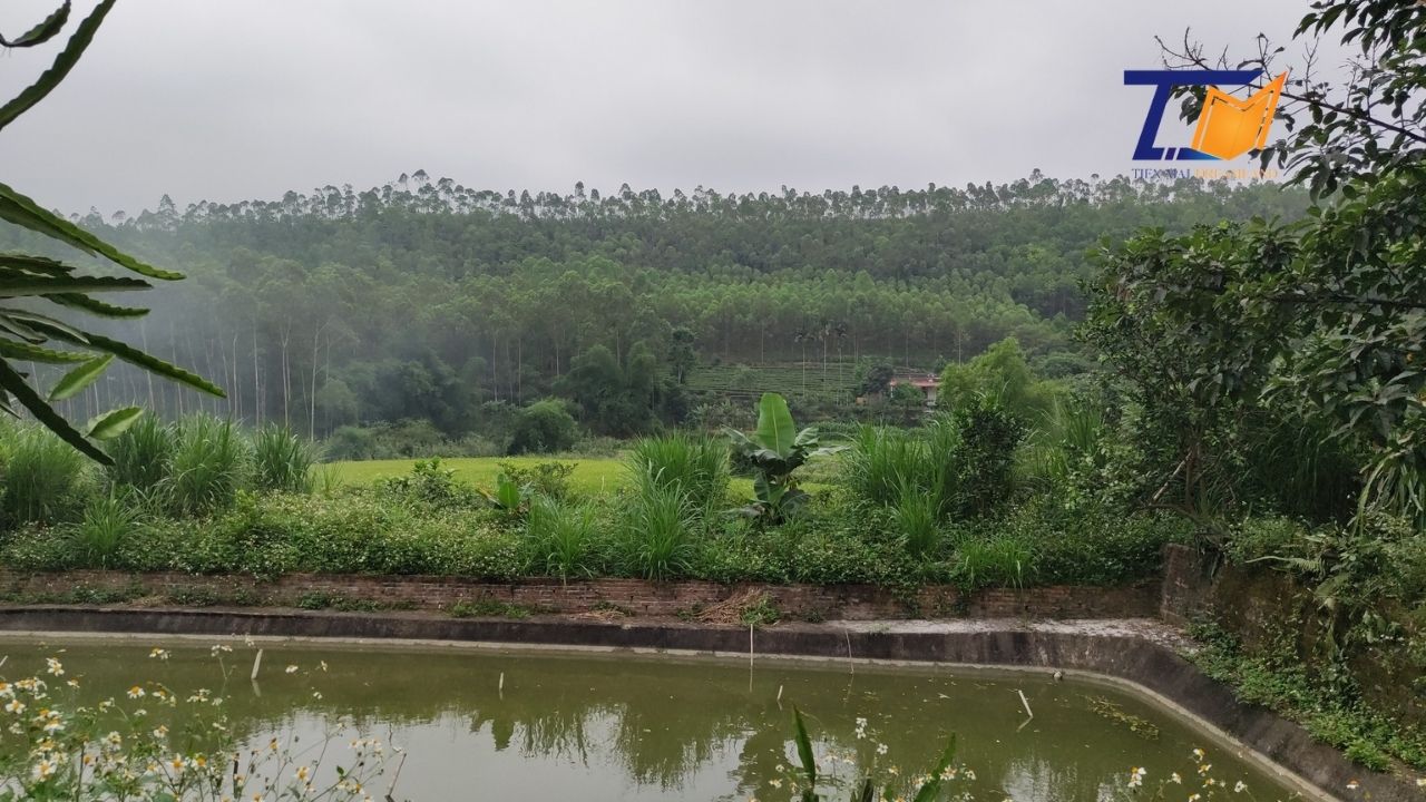 Cần bán Đất Xã Giáp Lai, Thanh Sơn, Diện tích 1361m², Giá Thương lượng có 400m2 Thổ cư sẵn ao 3
