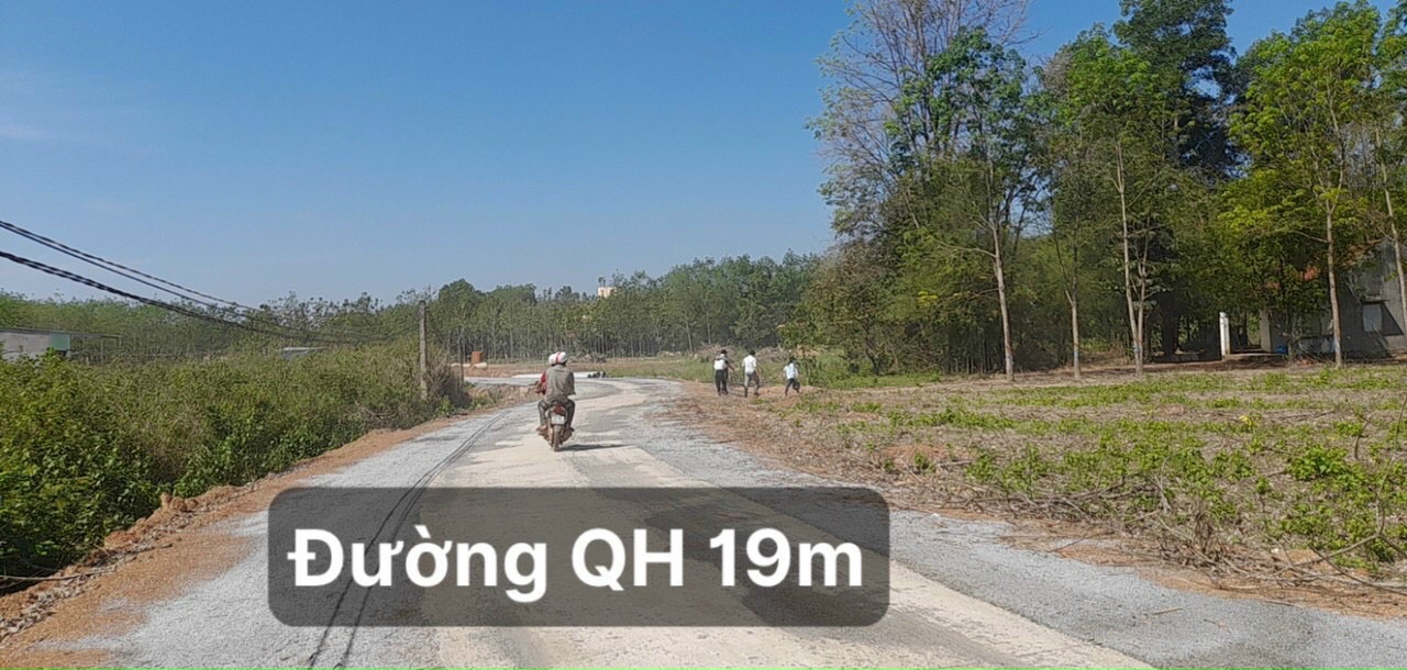 Đất nền đầu tư giá rẻ Tân Phước , 250m2 có 100m thổ cư