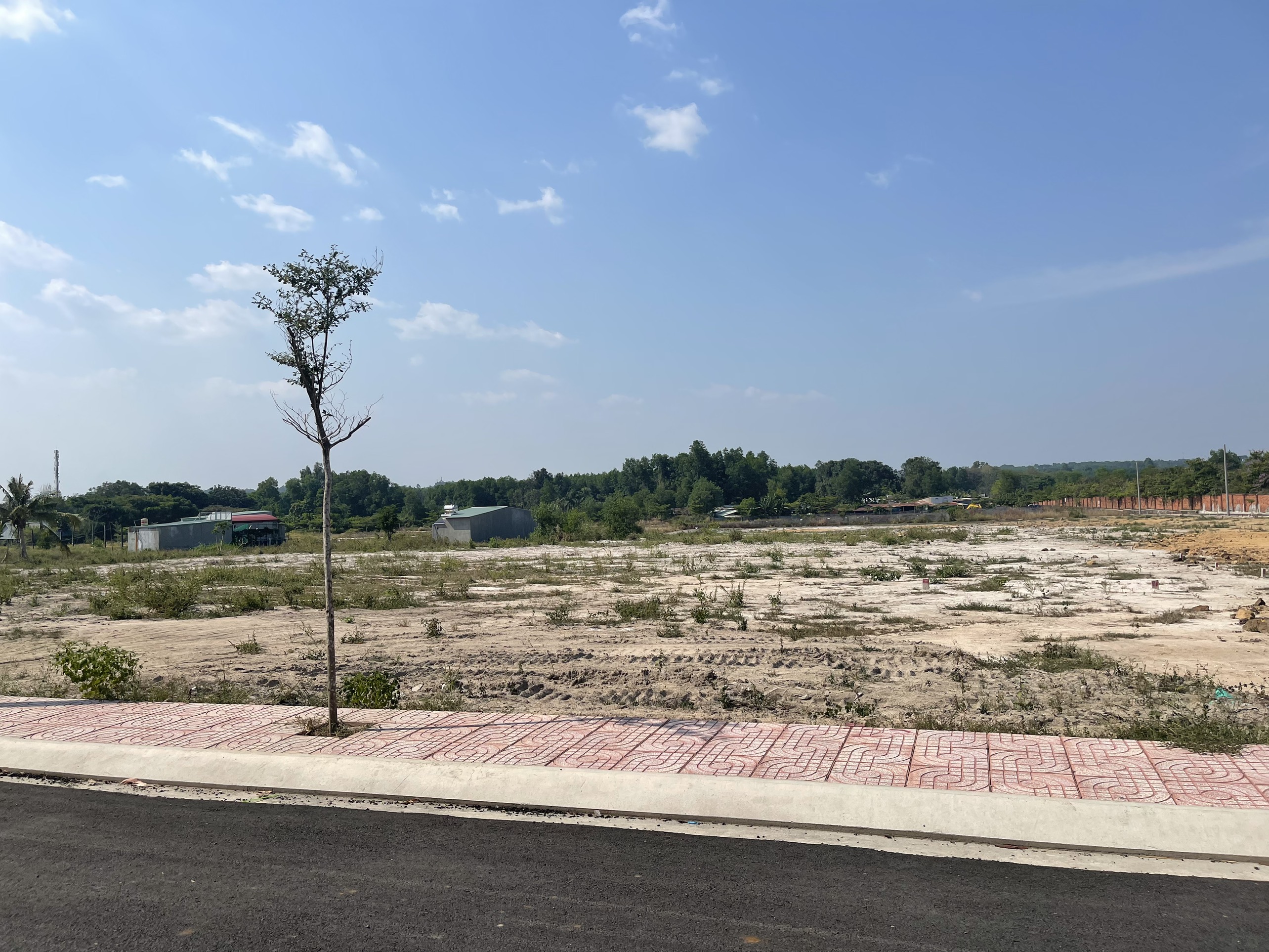 Cần bán Đất đường Bắc Sơn - Long Thành, Xã Giang Điền, Diện tích 120m², Giá 2.700.000.000 Tỷ