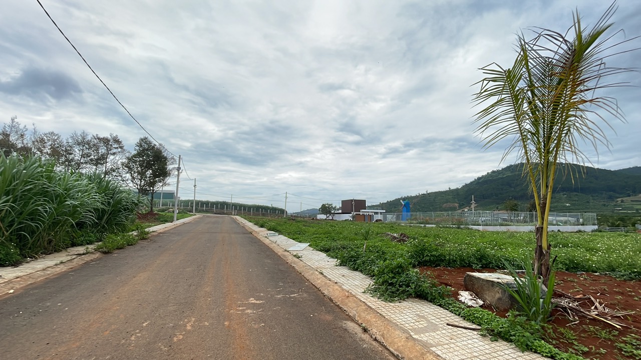 Cần bán Đất đường Bồng Lai, Xã Hiệp Thạnh, Diện tích 501m², Giá 5.5 Tỷ - LH: 0983563303 4