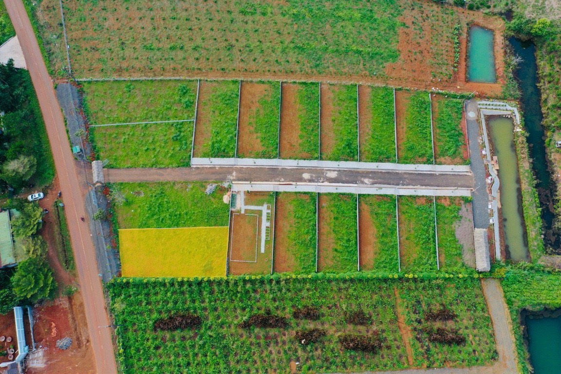 Cần bán Đất đường Bùi Thị Xuân, Xã Đam Bri, Diện tích 330m², Giá Thương lượng - LH: 0796142581 1