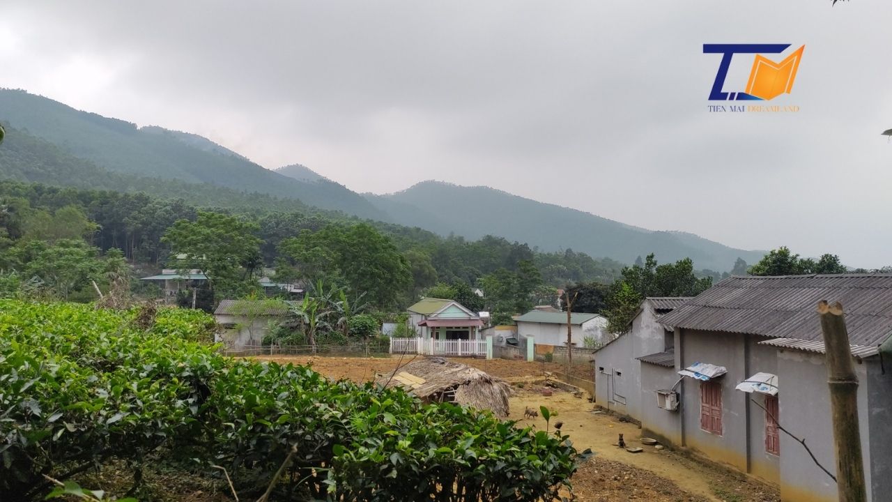 Cần bán Đất Xã Giáp Lai, Thanh Sơn, Diện tích 1700m², Giá Thương lượng