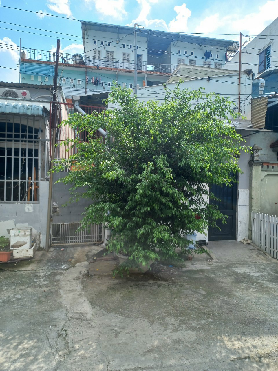 Bán dãy trọ đường 10 hiệp bình chánh , dt 100m2  , giá 6.8 tỷ 4