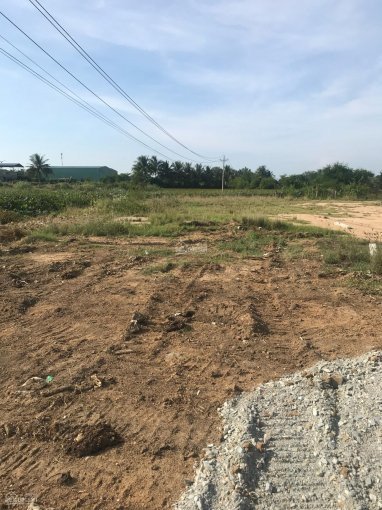 Bán lô đất nông nghiệp đường ô tô, Tháp Chàm Phan Rang 350m2, sổ đỏ chính chủ Giá 650 triệu 3
