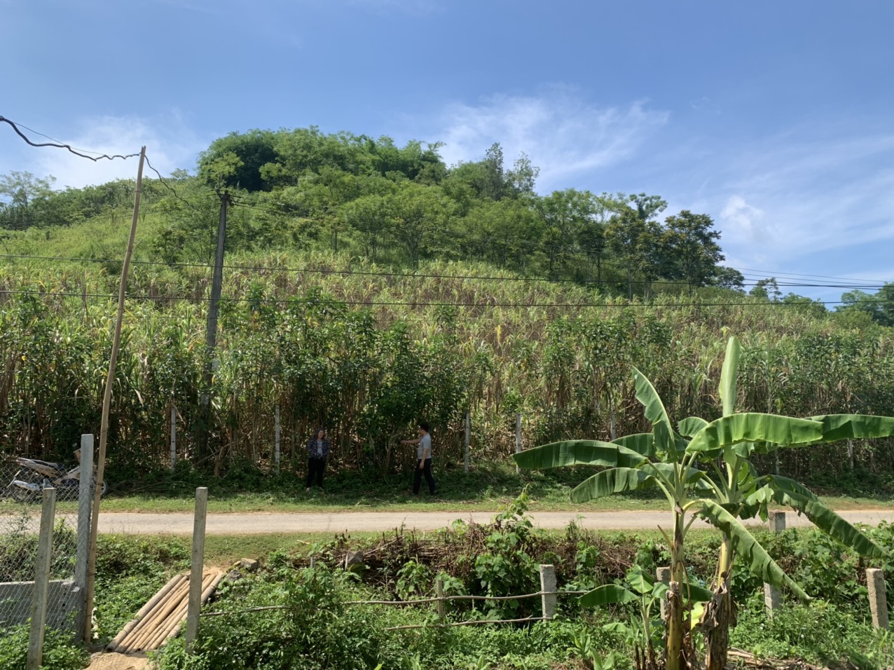 BÁN RẺ 3008M ĐẤT CHÍNH CHỦ, ĐƯỜNG RỘNG 11M, CAO, THOÁNG, VIEW ĐẸP, CAO PHONG - HÒA BÌNH 3